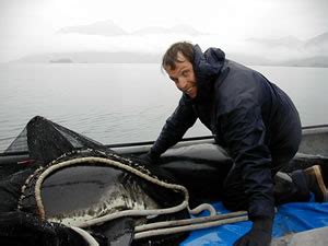 fat fish|Ecosystem Shifts and Sharks in Alaska .